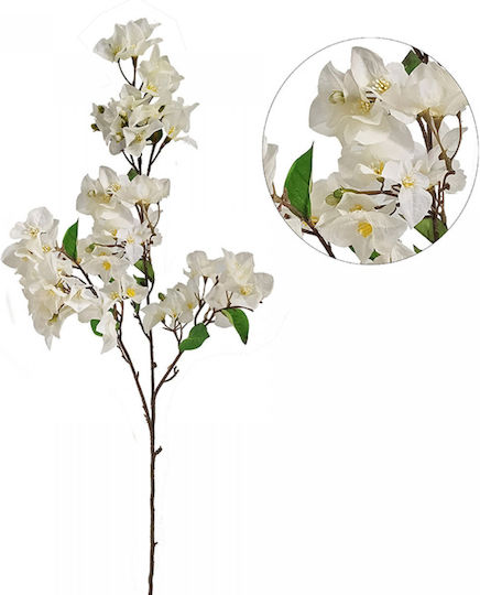 Bougainvillea Albă 105cm Zaros