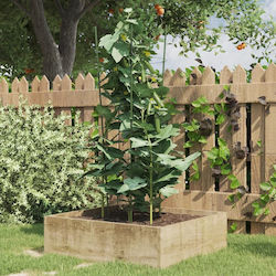 vidaXL 319374 Suporturi pentru plante 50mmx75cm Set de 5buc