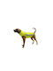 Outdoor Life Hundemantel Gelb
