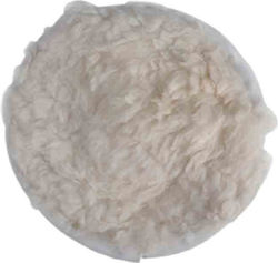 Raider Polishing Sponge