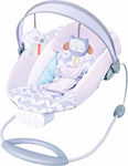 Baby Bouncers & Swing Chairs 