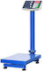 Constant 14191-449F Platform Scale with Weighing Capacity of 300kg and Division 100gr