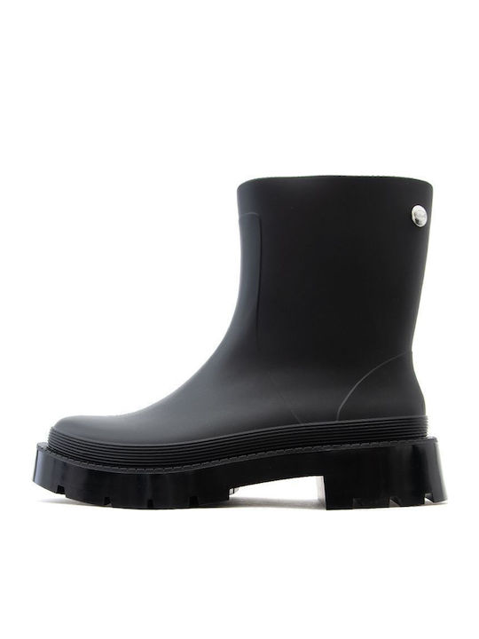 Scholl