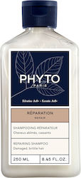 Phyto Conditioner 175ml Phyto Conditioner 175ml