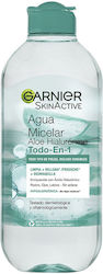 Garnier Lichid Skinactive 400ml