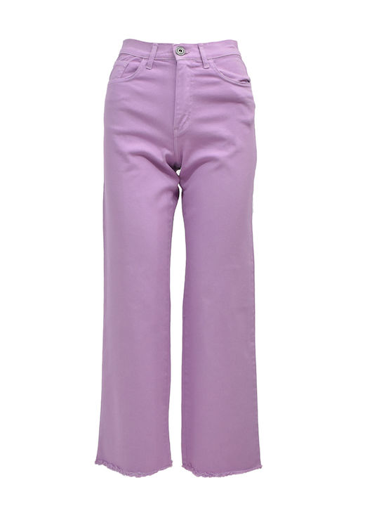 Zoya Pants Women's Jeans in Straight Line Purple