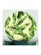 Dekorativer Aufkleber Wand 1Stück 90x90cm Caravelshop