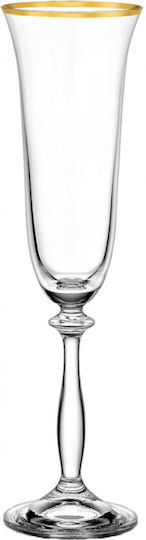 Novaker Glass Champagne made of Crystal in Gold Color Goblet Novaker Glass Champagne made of Crystal in Gold Color Goblet