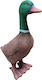 Kipodinamiki Decorative Garden Ceramic 35cmx18cm 2052-18