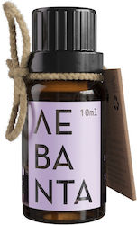 Etheleo Aromatisches Öl Lavendel 10ml 1Stück