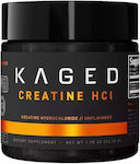 Kaged Muscle Creatine Hcl Ungesüßt