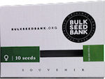 Bulk Seeds Bank Σπόροι Κάνναβης 5τμχ