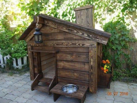 Molf's Hundehaus Hölzernes Außenbereich Braun
