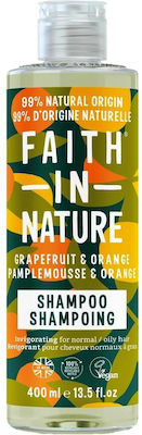 Faith in Nature Σαμπουάν 400ml