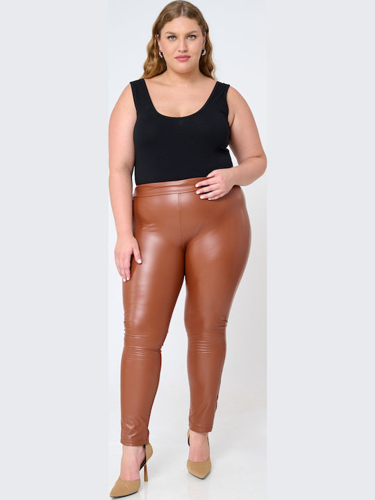 Jucita Jucita