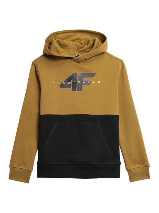 4F Kids Sweatshirt with Hood Brown