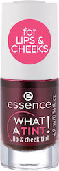 Essence A Дълготраен Течност Червило 01 Kiss From A Rose 4.9мл