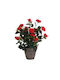 Mica Artificial Plant in Small Pot Red 1pcs