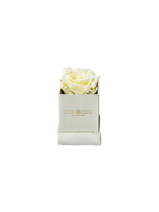 Eternal Rose Forever White 1pcs