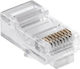 Paradox Stecker RJ-45 100Stück (TK.HW.D11.45)