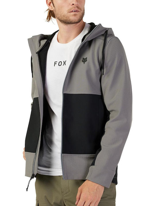 Fox