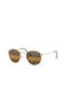 Ray Ban 3447 Sunglasses with Gold Frame and Gold Polarized Lens RB3447 001/G5