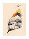 Walls Abstract Mountain Poster WALLS 104052 02 09 015 020 15x20cm