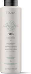 Lakme Teknia Scalp Care Shampoos Hydration 1000ml Lakme Teknia Scalp Care Shampoos Hydration 1000ml