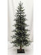 Weihnachtsbaum Hills Schlank 230cm mit 3250 Zweige