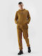 Jogginghose mit Gummizug Gold