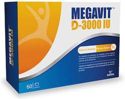 Surveal Laboratoires Βιταμίνη D 60 κάψουλες Surveal Laboratoires Βιταμίνη D 60 κάψουλες