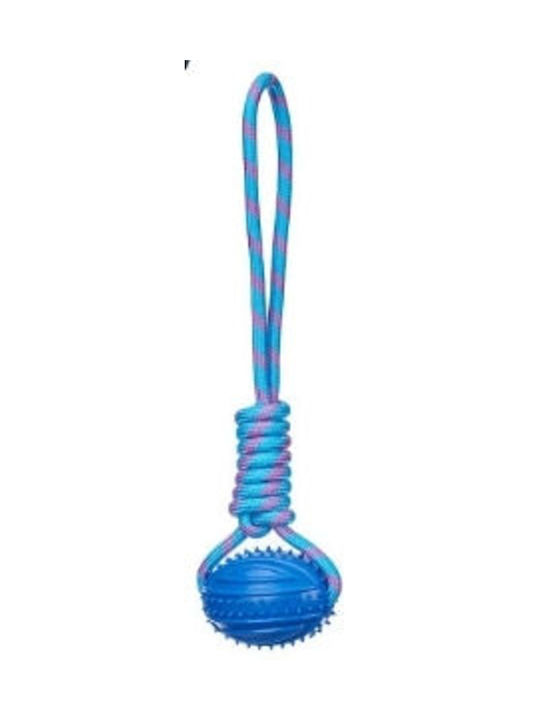 Mascow Kugel Hundespielzeug Blau
