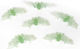 Carnival Accessory Black for Halloween Green Ba...