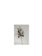Paperpack Net Christmas Decorative Branch 40cm