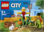 Lego City Polybag Farm Garden Scarecrow for 5+ Years