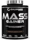 Galvanize Nutrition Mass Gainer με Γεύση Chocolate Hazelnut 3kg