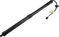 NTY Car Trunk Shock