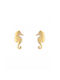 Vitopoulos Earrings made of Gold 9K