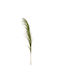 Iliadis Artificial Decorative Branch Pampas Grass Green 1pcs