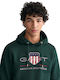 Archive Shield Sweatshirt mit Kapuze Grün