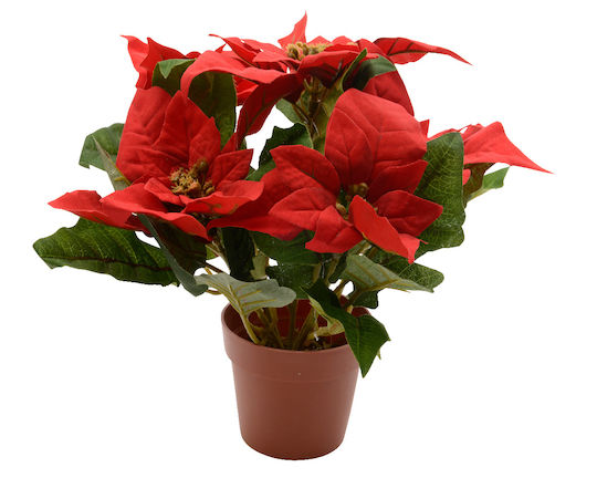 Kaemingk Christmas Decorative Alexandrian 27cm