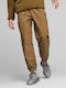 Hose Cargo Braun
