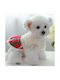 Dog Dress 20cm