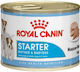 Royal Canin Starter Mousse Wet Food for Puppies in Cans with Meat 195gr