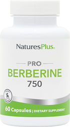 Nature's Plus Pro Berberin 750mg 60 Kapseln Nature's Plus Pro Berberin 750mg 60 Kapseln