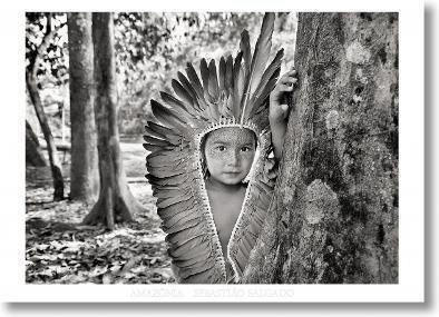 Amazônia