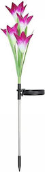 Set of 2 Stake Solar Lights
