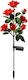 Set 2 Eingesteckte Solarleuchten mit Rot Licht