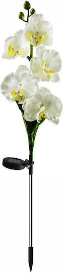Set 2 Aufgespießte Solarleuchten Blumen IP65