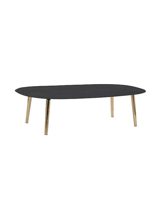 Oval Metal Coffee Table Brown L122xW60xH30cm